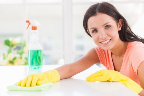Secure payment area for Hollandpark Carpet Cleaners with protected checkout