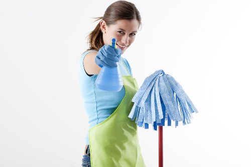 Upholstery cleaning service for a sofa in Hollandpark