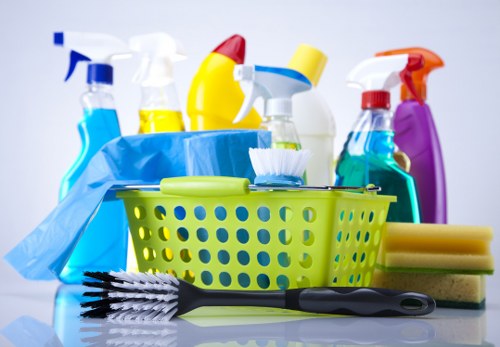 Cleaning of a Hollandpark residential communal hallway and entrance area