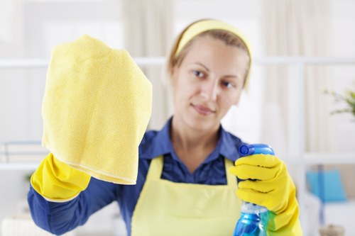 Local cleaning professional servicing a Hollandpark home with recurring weekly attention