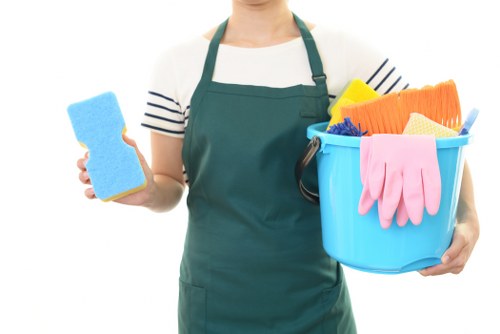 Professional oven cleaning service for a Hollandpark kitchen