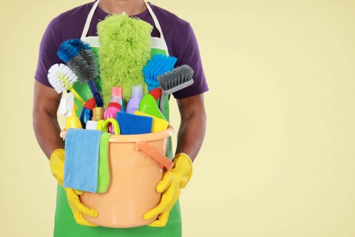Professional sofa cleaning service for Hollandpark homes and apartments