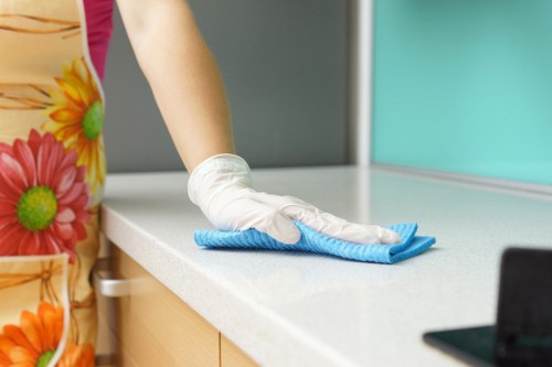 Professional house cleaning service for Hollandpark homes and apartments
