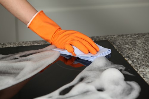 Local gutter cleaning service for Hollandpark homes and rooflines