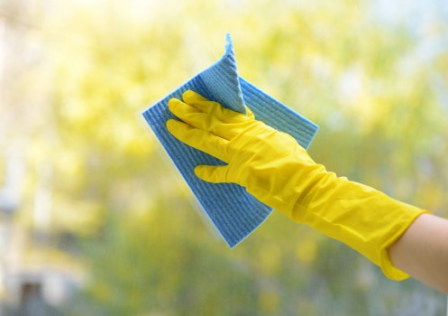 Local end of tenancy cleaners working in Hollandpark with property access considerations