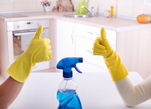 Commercial cleaning team maintaining an office in Hollandpark