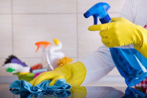 Local cleaners servicing a professional workplace in Hollandpark