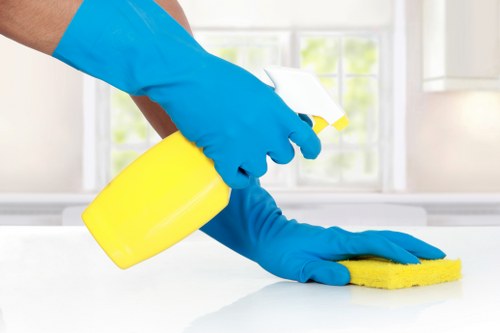 Professional hard floor cleaning for a Hollandpark home entrance