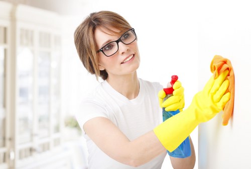 Professional window cleaning service for Hollandpark residential properties