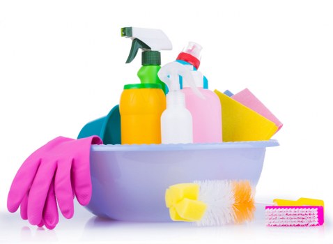 Professional deep cleaning for a Hollandpark flat or apartment