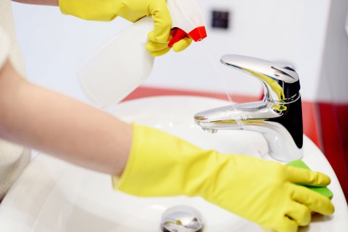 Regular domestic cleaning in a Hollandpark flat or townhouse
