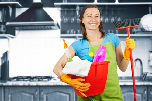 Regular home cleaning service for households near Holland Park