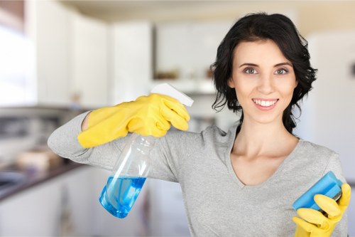 Professional exterior cleaning for a mixed-use building in Hollandpark