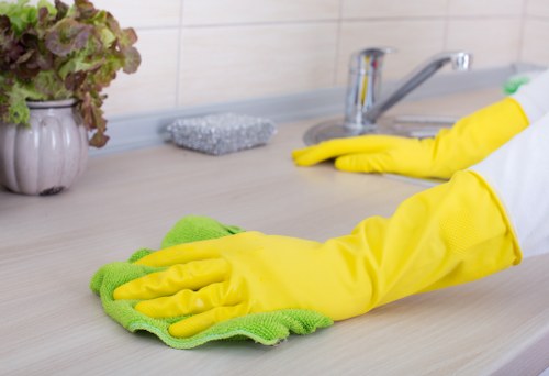 Hollandpark rug cleaning for residential and commercial spaces