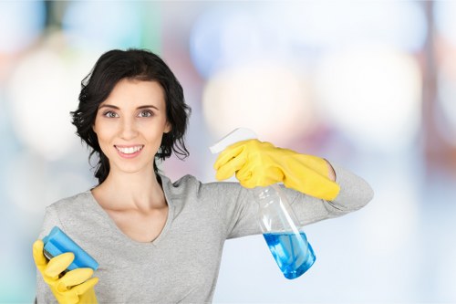 Steam cleaning equipment prepared for a Hollandpark apartment or office