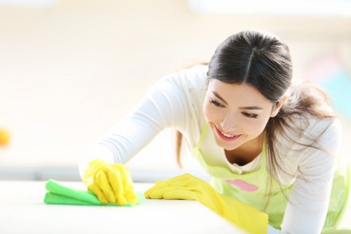 Local cleaners working in a Holland Park flat during tenancy handover