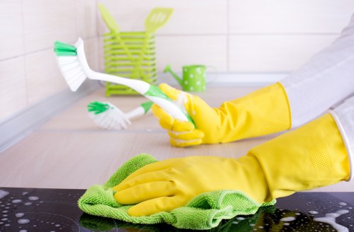 Deep carpet cleaning for a flat in Hollandpark