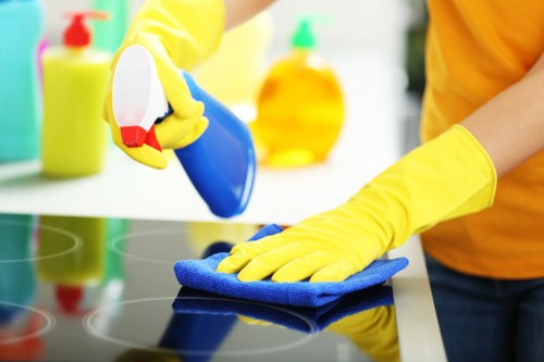 Detailed kitchen and bathroom cleaning during a Hollandpark move out clean