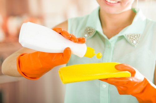 Professional stain removal service for carpets and upholstery in Hollandpark