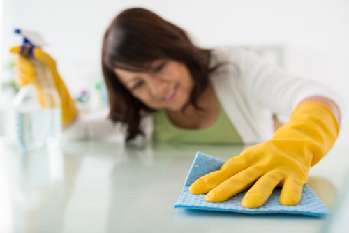 Targeted stain treatment for upholstery, carpets, and fabric surfaces in Hollandpark
