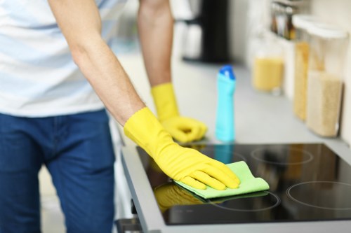 Window cleaning for apartments and managed buildings in Hollandpark