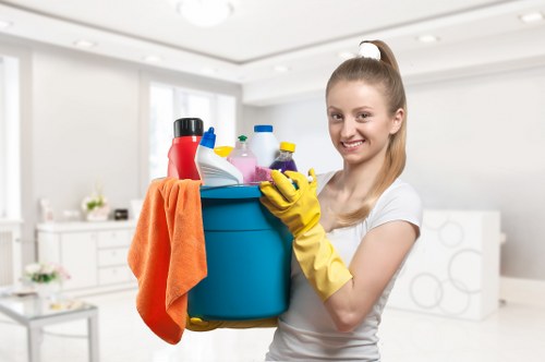 Image symbolising accessibility request support for Hollandpark Carpet Cleaners
