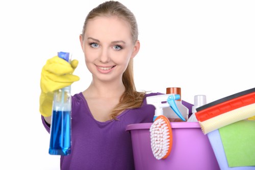 House cleaning service covering Hollandpark residences and nearby properties