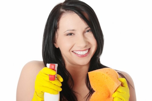 Local cleaners working in a Hollandpark commercial property