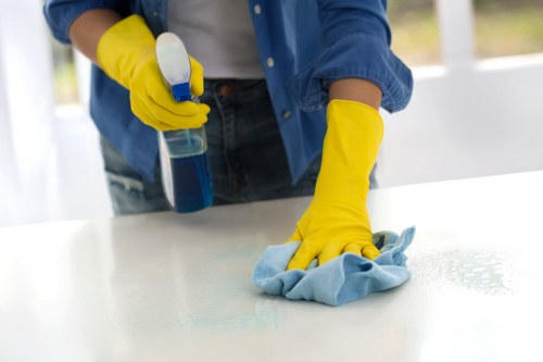 Professional patio washing treatment removing moss from shaded paving