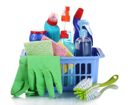 SSL encrypted payment process for Hollandpark Carpet Cleaners