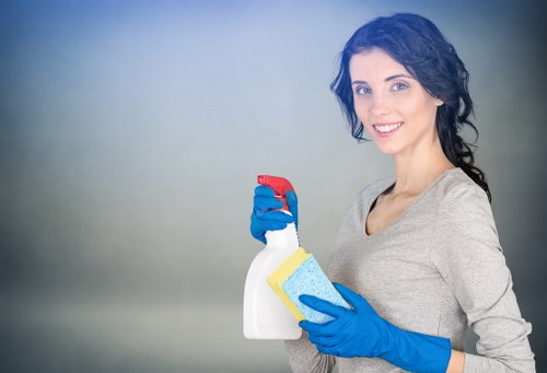 Local stain removal support for homes and businesses in Hollandpark