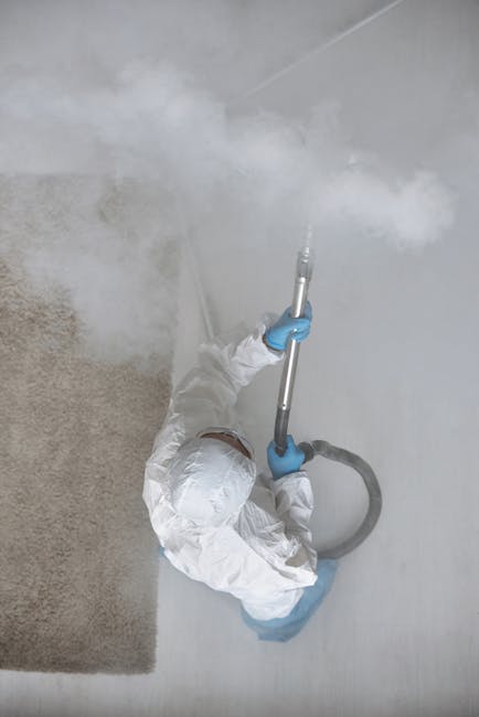 A person dressed in white protective coveralls and blue gloves is performing deep cleaning using a steam cleaning machine on a carpeted floor in a basement. The room features white painted walls and a light-colored carpet that appears to be in the process of sanitisation or steam cleaning, indicated by visible steam vapor and the equipment's spray feature. A hose attached to the steam cleaner extends from the device, which the individual is holding upright to treat the carpet. There is natural or artificial lighting illuminating the space, highlighting the cleanliness condition of the surface. This image emphasizes surface cleaning and sanitisation efforts in a basement setting, illustrating typical work conducted by Holland Park Carpet Cleaners, aligning with common issues associated with steam cleaning and error code 521 in such environments.