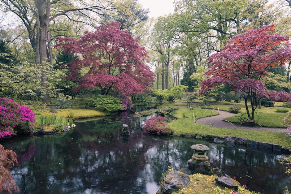 A paved garden pathway made of light-colored bricks curves gently through a lush, well-maintained outdoor space. To the left of the path, dense flowering shrubs with vibrant pink blossoms are visible,