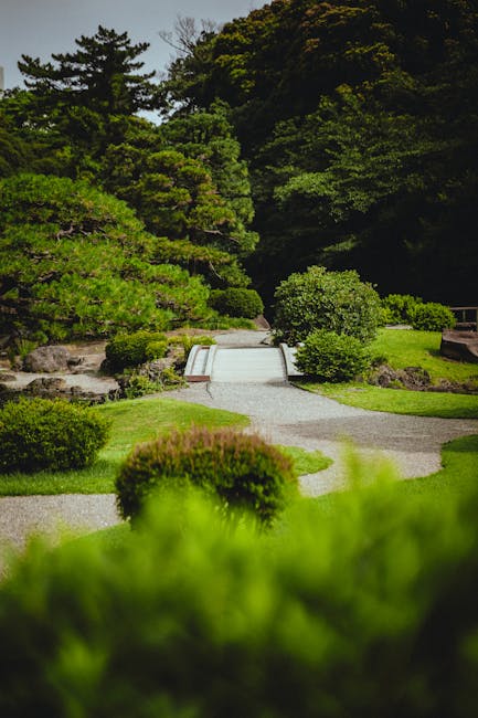 A well-maintained Japanese garden featuring neatly raked gravel pathways, lush green shrubbery, and carefully pruned pine trees. The scene is illuminated by natural daylight, highlighting the vibrant foliage and serene landscape. The garden includes a small wooden bridge over a gravel stream, with screens of taller trees in the background providing a tranquil atmosphere. Holland Park Carpet Cleaners specializes in surface cleaning and deep cleaning, ensuring hygiene and maintenance of both residential and commercial spaces, inspired by the meticulous care seen in this garden setting, as discussed on the page Kyoto Garden stain removal tips from Holland Park cleaners, error code: 521.